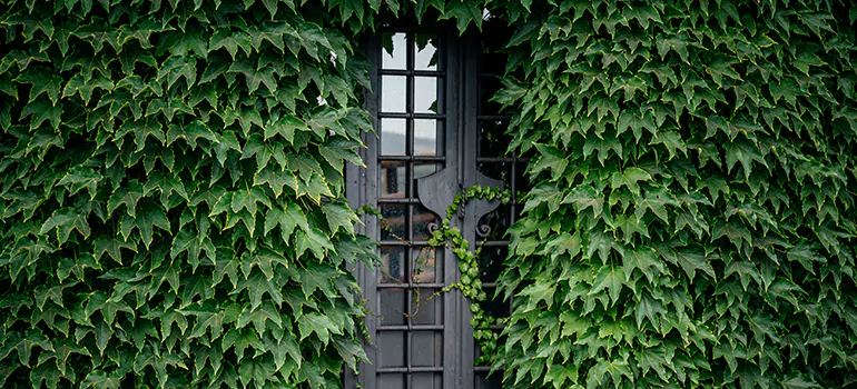 Garden Gate Repair in Panama City, FL