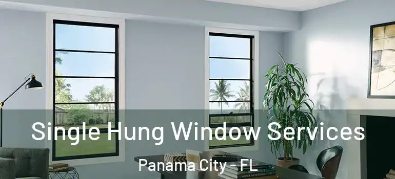  Single Hung Window Services Panama City - FL