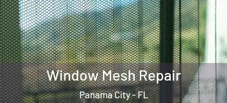  Window Mesh Repair Panama City - FL