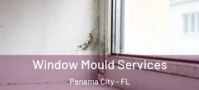 Window Mould Services Panama City - FL